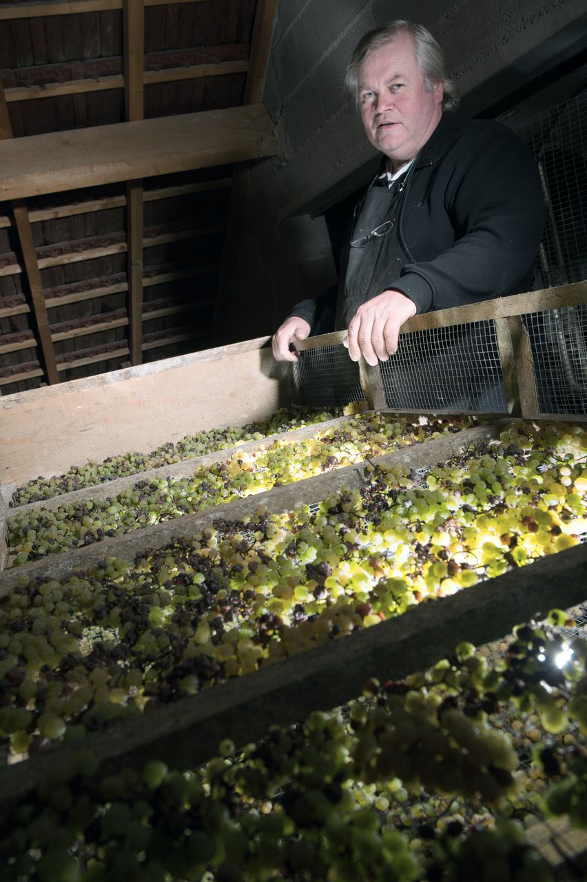 Vins Vigneron François Mossu Mossu-0009